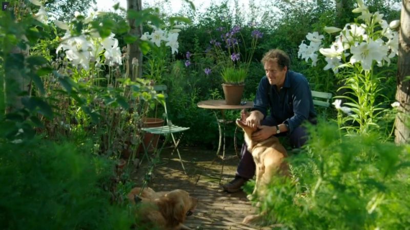 Read more about the article Gardeners World episode 19 2017