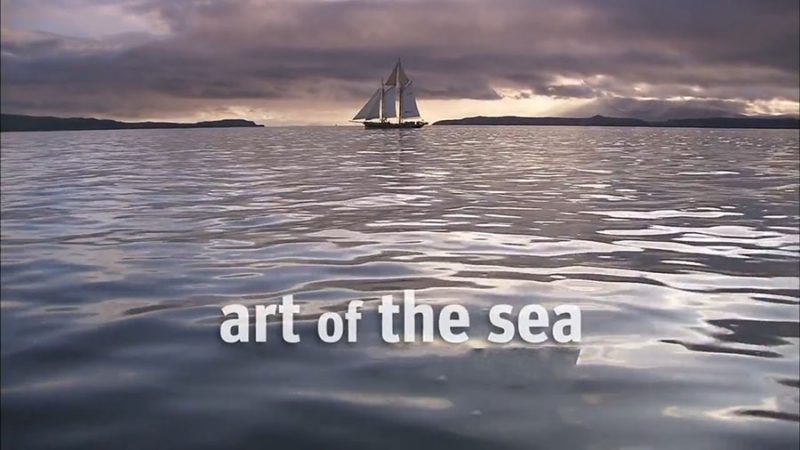 Art of the sea