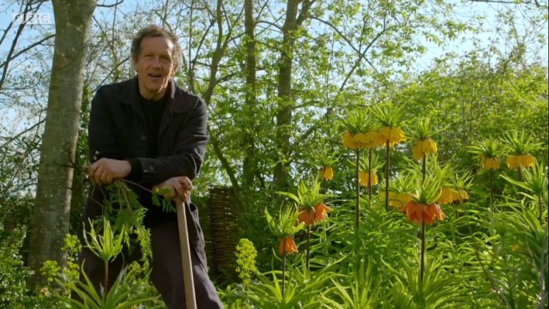 Read more about the article Gardeners’ World 2017 episode 6