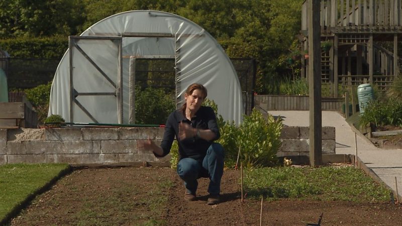 The Beechgrove Garden episode 8 2015