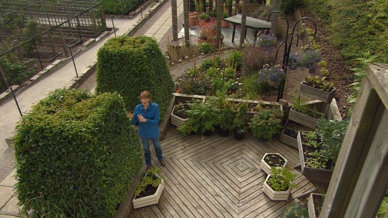 Read more about the article The Beechgrove Garden episode 16 2015