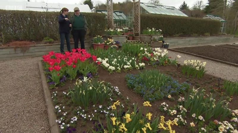 You are currently viewing The Beechgrove Garden episode 4 2017