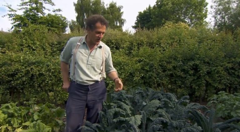 Gardeners World episode 15 2015 - Lawns from seed or turf