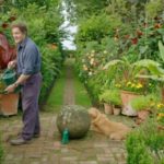 Gardeners-World-episode-23-2017-800x450