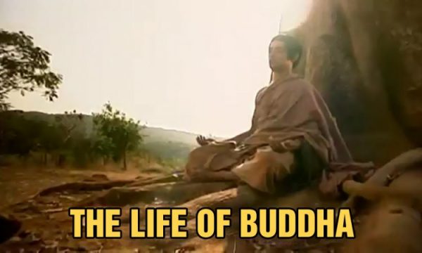 Read more about the article The Life of the Buddha