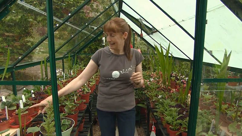 Read more about the article The Beechgrove Garden episode 21 2015