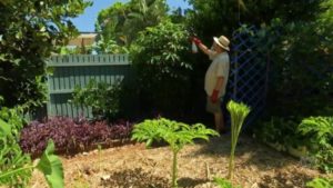 Read more about the article Gardening Australia ep. 5 2018