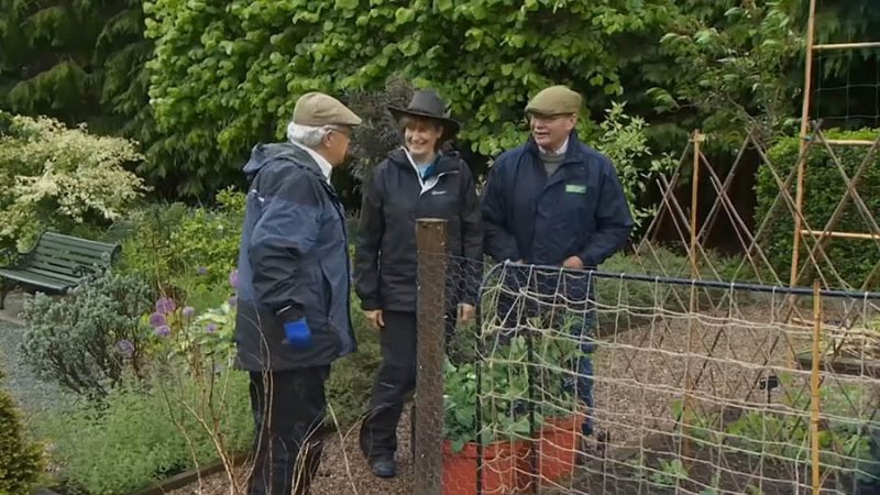You are currently viewing The Beechgrove Garden episode 1 2018