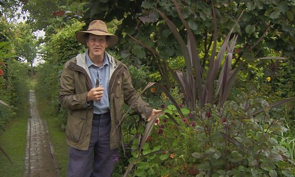 Read more about the article Gardeners World episode 19 2015
