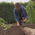 Gardeners World episode 23 2015