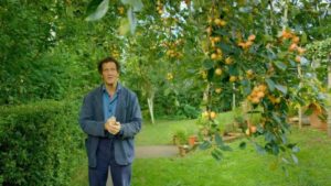 Read more about the article Gardeners World episode 24 2016
