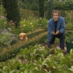 Gardeners World episode 26 2015