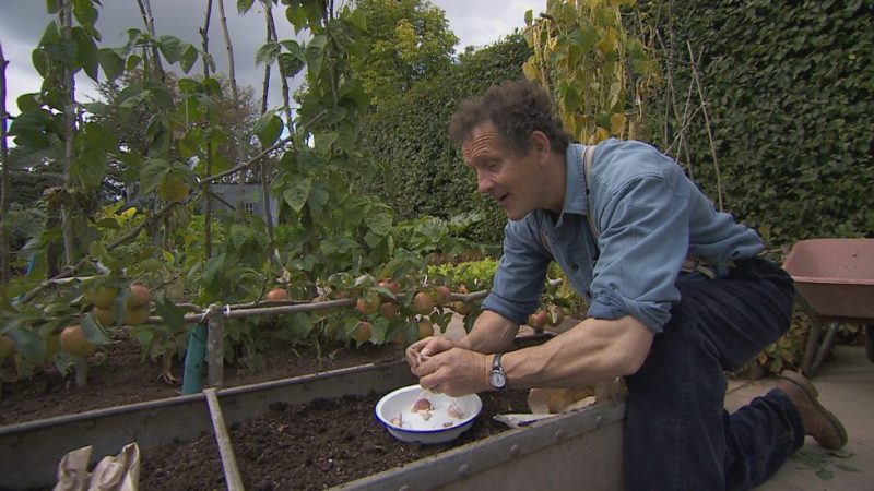 Read more about the article Gardeners World episode 27 2015