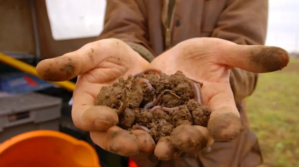 Close-up of a person's hands, covered in soil, holding a clump of earth with visible worms. In the background, there's a hint of an orange bucket and a vehicle, with an open field in the far distance.
