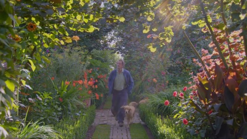 Read more about the article Gardeners World episode 27 2016