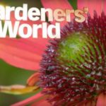 Gardeners World episode 28 2016