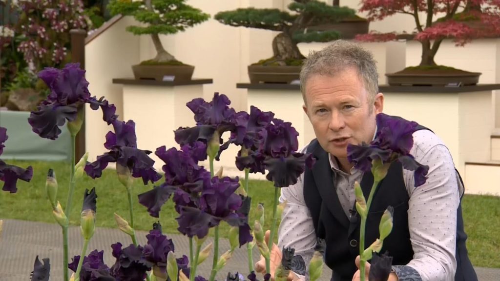 Read more about the article Chelsea Flower Show episode 2 2016
