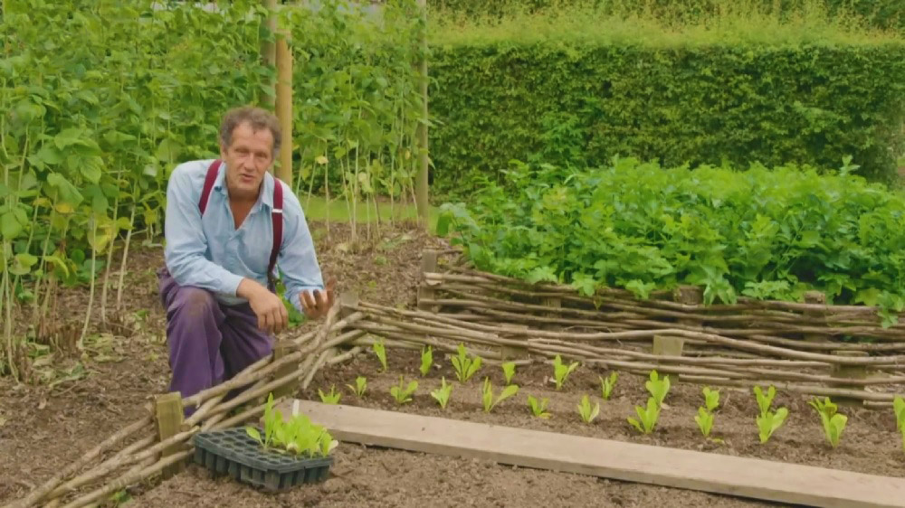 Read more about the article Gardeners World 2018 episode 21