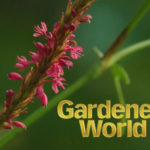Gardeners World 2018 episode 26