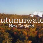 Autumnwatch episode 1 2018