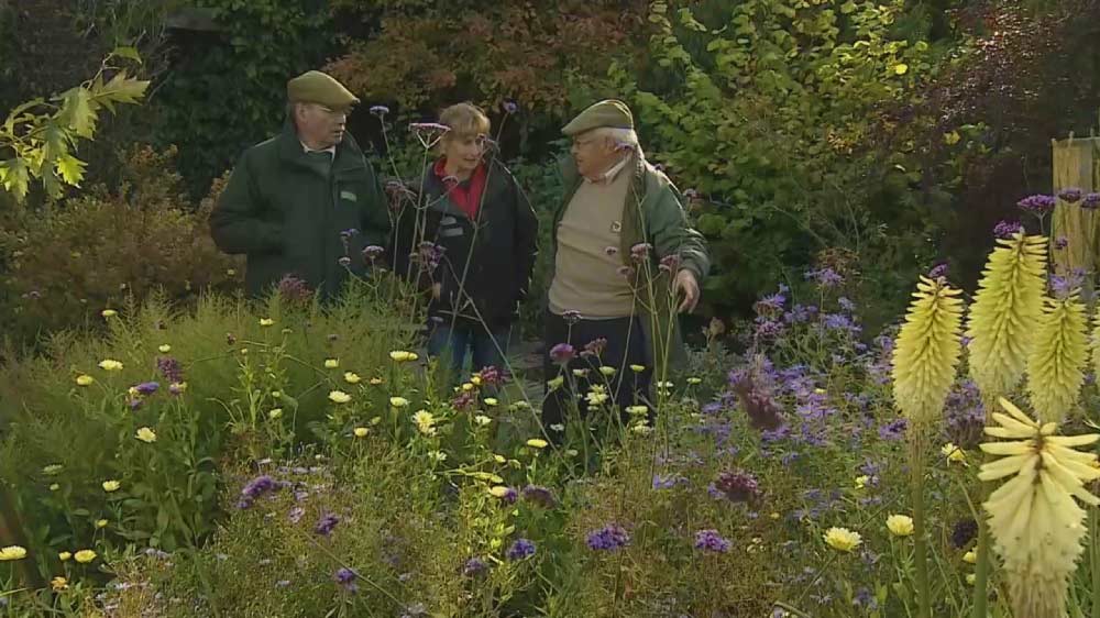 Read more about the article The Beechgrove Garden episode 22 2018