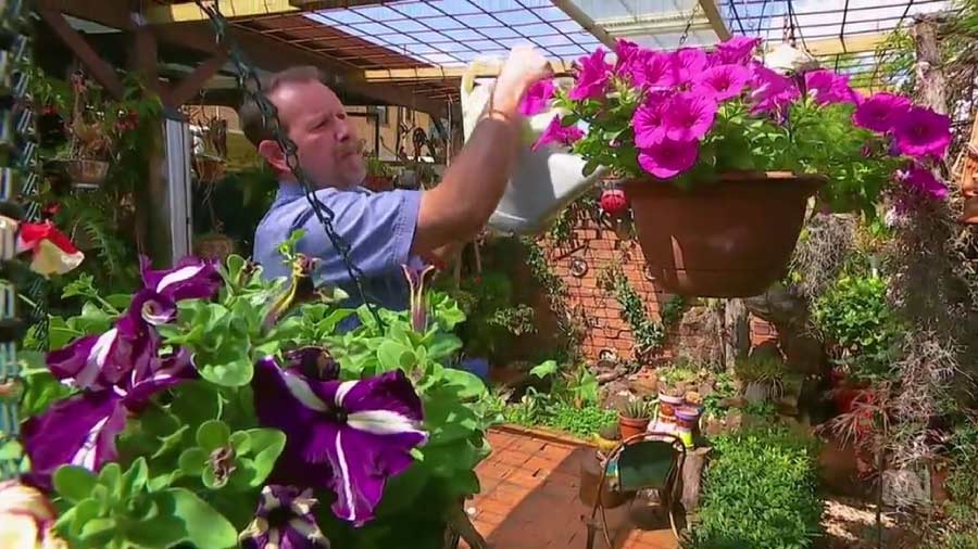 You are currently viewing Gardening Australia episode 41 2018