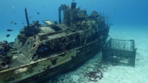 Read more about the article Reef Wrecks episode 5 – Mexico’s Artificial Reefs