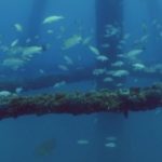Reef Wrecks episode 2 - Florida Keys: Shipwreck Trail