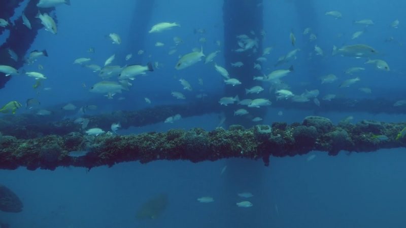 Read more about the article Reef Wrecks episode 2 – Florida Keys: Shipwreck Trail