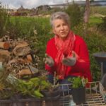 Gardening Australia episode 8 2019