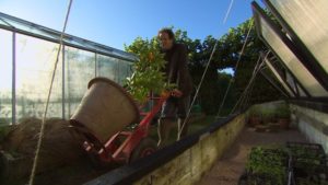 Read more about the article Gardeners World episode 27 2012