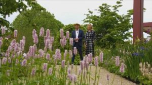 Read more about the article Chelsea Flower Show episode 1 2019