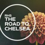 Chelsea Flower Show 2019