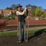 Gardening Australia episode 20 2019