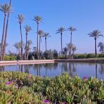 Gardens Near and Far ep. 2 - Agdal, Morocco