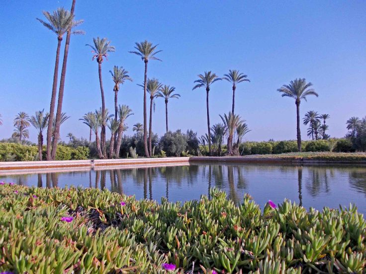 Read more about the article Gardens Near and Far episode 2 – Agdal, Morocco