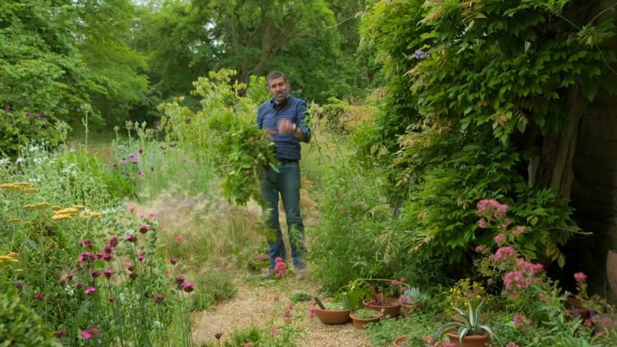 Read more about the article Gardeners World episode 20 2019