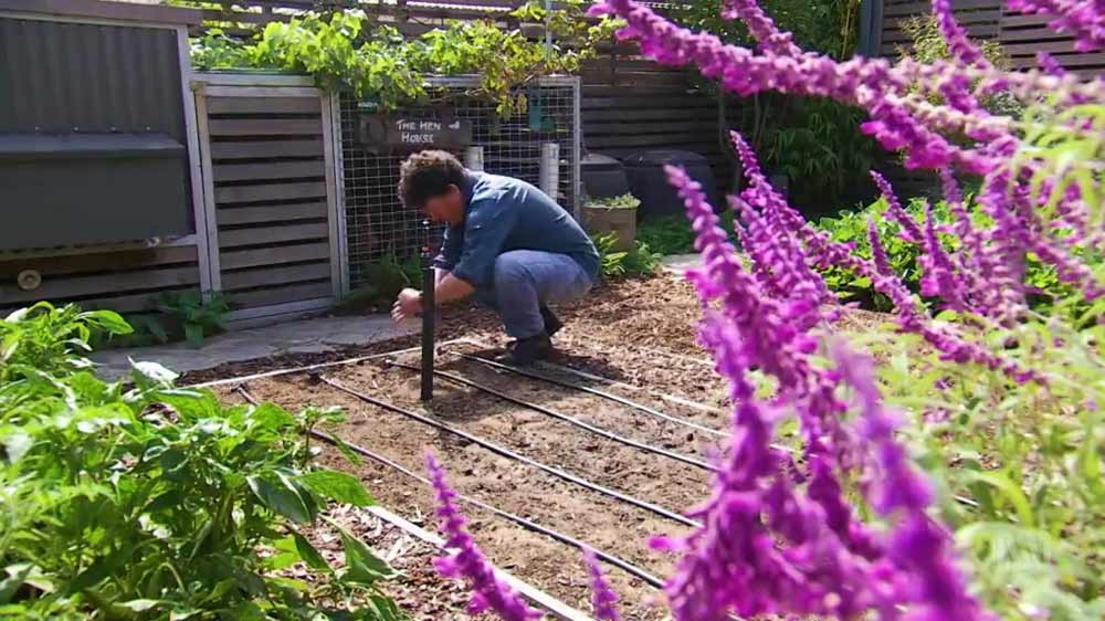 You are currently viewing Gardening Australia episode 23 2019