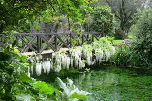 Read more about the article Gardens Near and Far episode 23 – Ninfa