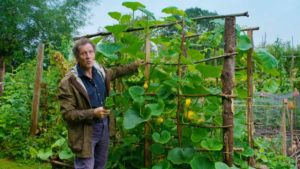 Read more about the article Gardeners World episode 25 2019