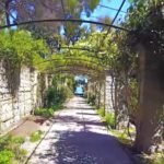 Gardens Near and Far episode 31 – Hanbury