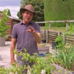 Gardening Australia episode 32 2019