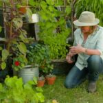 Gardening Australia episode 33 2019