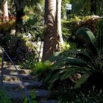 Gardens Near and Far episode 34 – La Mortella