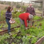 Gardening Australia episode 38 2019