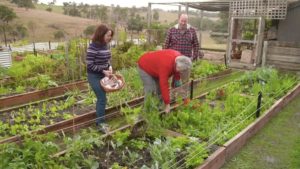 Read more about the article Gardening Australia episode 38 2019