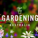 Gardening Australia episode 39 2019