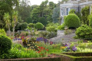 Read more about the article Gardens Near and Far episode 38 – Mount Stewart
