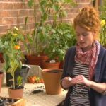 The A to Z of TV Gardening - Letter C