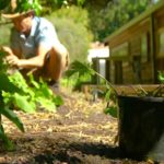 Gardening Australia episode 40 2019
